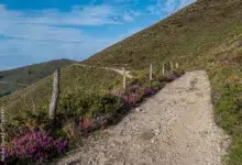 camino de santjago
