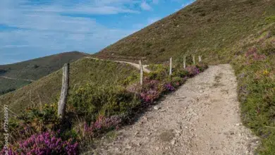 camino de santjago