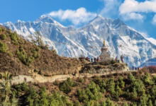 Nepalas
