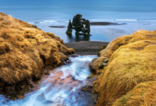 Hvitserkur krioklys Islandijoje