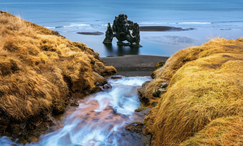 Hvitserkur krioklys Islandijoje