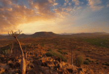 Etendeka Namibia