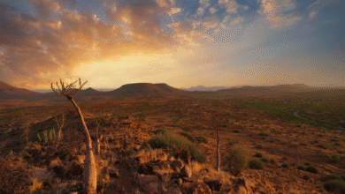 Etendeka Namibia